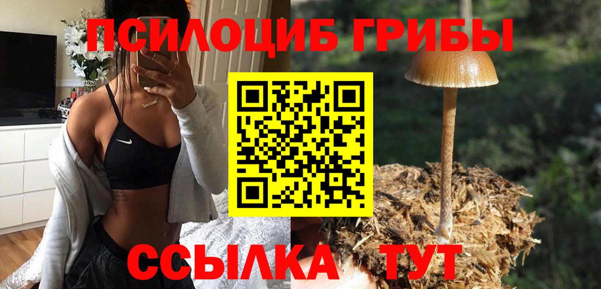 Псилоцибиновые грибы прущие грибы  Галлюциногенные грибы Psilocybine cubensis  Вход с VPN  Нарткала 